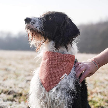 Pettsie Hemp Dog Bandana Collar & Matching Owner Friendship Bracelet | Adjustable, Durable Hemp & Soft Cotton, Matching Friendship Bracelet, Designed for Dog Lovers