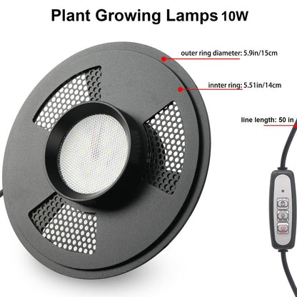 Desktop Glass Plant Terrarium with Grow Light(L7.8 W7.8 H14), for Succulent, Moss, Miniature Gardening Landscape, Betta Fish Tank, Indoor Plant Growth, Office Home Decoration (TimeControlled)