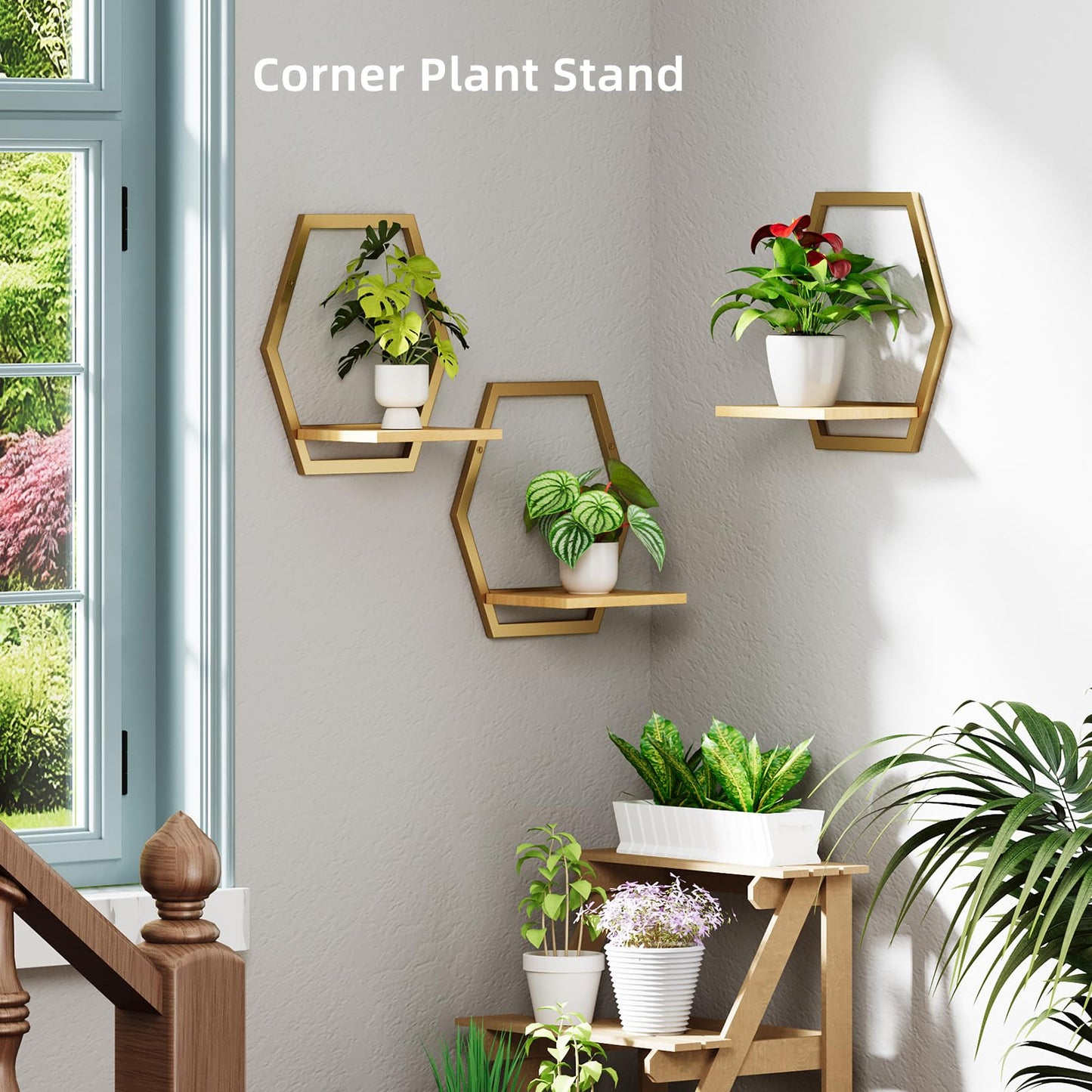Rioneta 3 Pack Natural Wood & 25 LB Load Metal Wall Plant Holders, 9 inch Solid Wooden Shelf, Mid Century Hanging Planter for Indoor Plants Golden