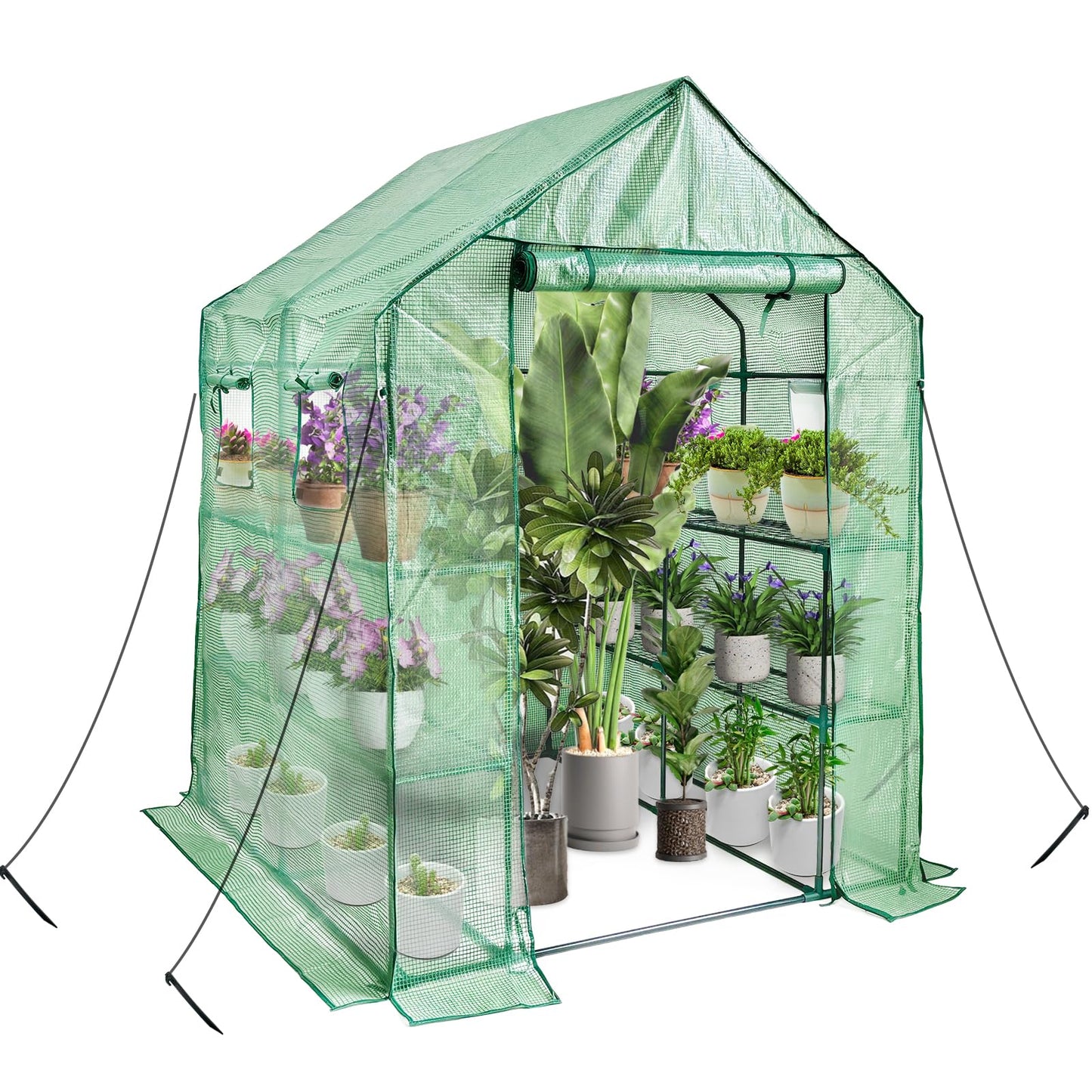 Walk in Greenhouse with Shelves,Plastic Growhouse Frame for Garden,12 Tiers Green House with Reinforced PE Cover and 4 Windows,56" L x 56" W x 77" H,for Indoor Outdoor Seeding and Plant Growing