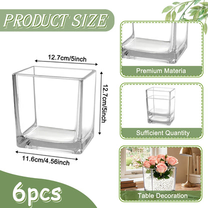 6Pcs Square Clear Glass Vases 5" x 5" x 5", Cube Vase for Centerpiece, Candle Holder Plant Terrarium for Wedding Centerpiece, Office Decorations, Home Decor, Parties