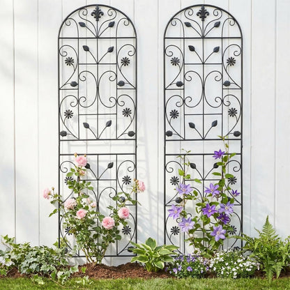 Maidapulu, Trellis for Climbing Plants Outdoor, （2 Pack 70.8x19.6-inch）, Generic Metal Garden Trellis, Rustproof, Easy Assembly,（Black）