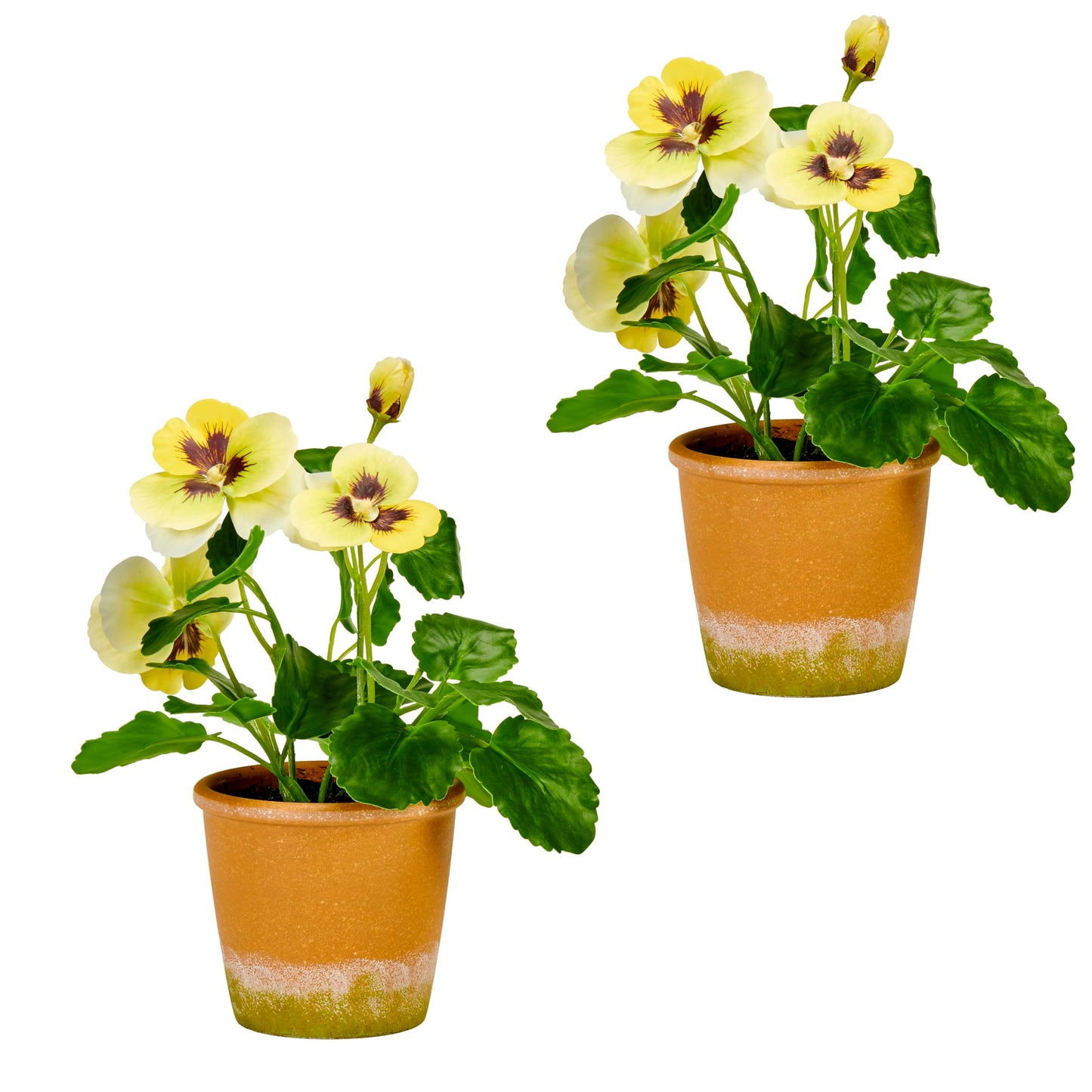 Worth Imports 10" Yellow Pansy in 4" Pot