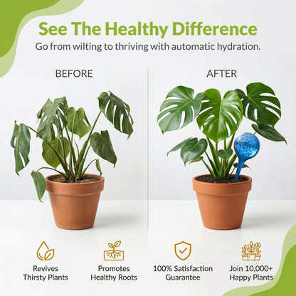 Little Green Leaf Automatic Plant Watering Globes Self Watering Planter Inserts (Set of 6) | Hands Free Multicolor Glass Bulbs | Planter Spikes to Support Indoor & Outdoor Plant Health (350ml)