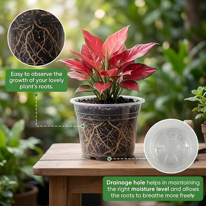 JADENIO 7/8/10 Inch Clear Nursery Pots with Drainage Holes, 15 Pack Plastic Plant Pots, Indoor & Outdoor Use, Ideal for Flowers, Vegetable Seedlings and Seed Starting