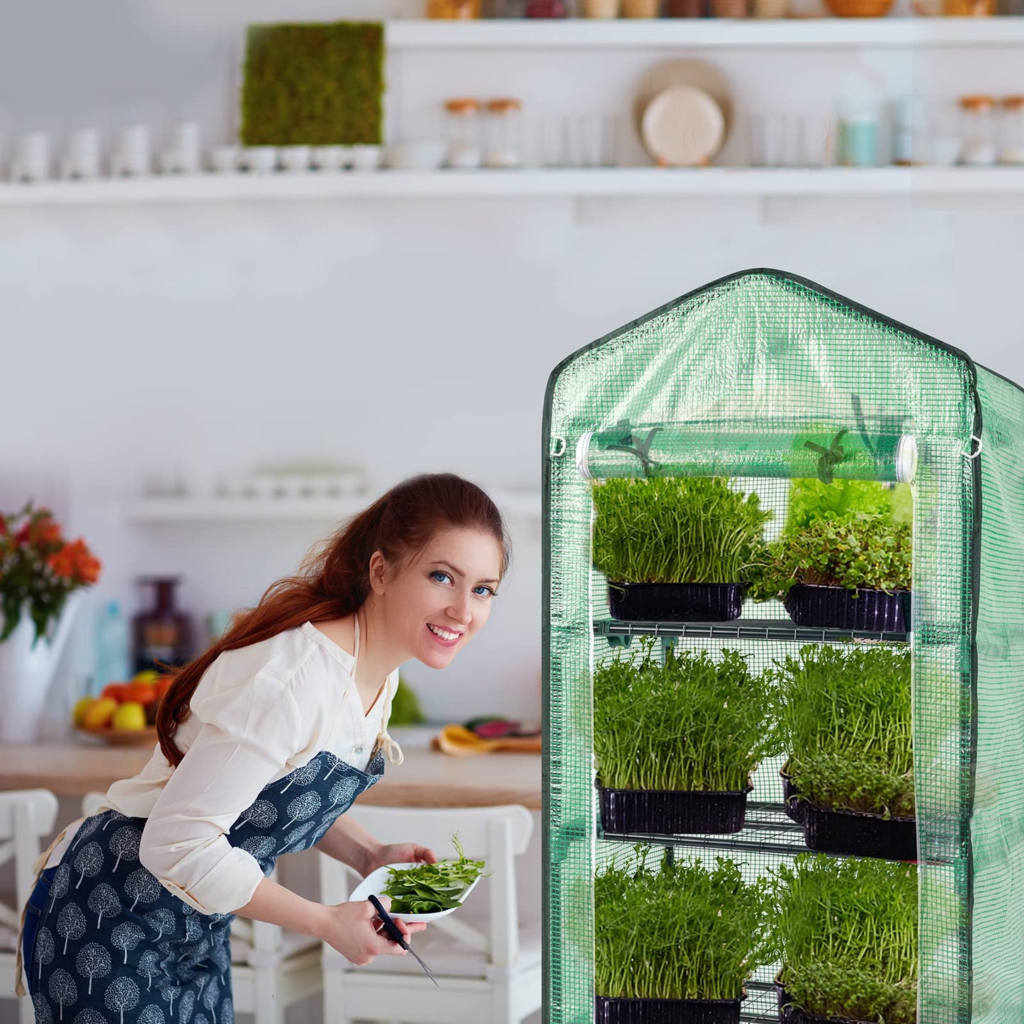 Outvita Mini Greenhouse, Small PE Plant Green House with 4 Tiers Rack, Shelf Clips, Roll-up Zipper Door, Gardening Supplies for Indoor Outdoor Seedling Frost Protection , 27"x19.6"x63" Green