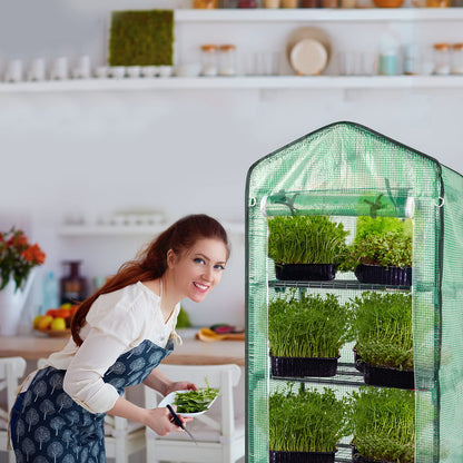 Outvita Mini Greenhouse, Small PE Plant Green House with 4 Tiers Rack, Shelf Clips, Roll-up Zipper Door, Gardening Supplies for Indoor Outdoor Seedling Frost Protection , 27"x19.6"x63" Green