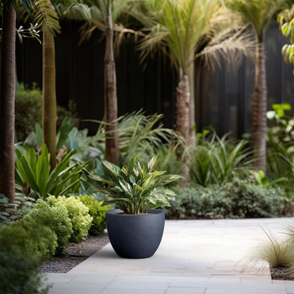 Kante 14.2 Inch Round Concrete Planter - Classic Large Indoor/Outdoor Plant Pot with Drainage Hole and Rubber Plug, Suitable for Gardens and Patios, Charcoal