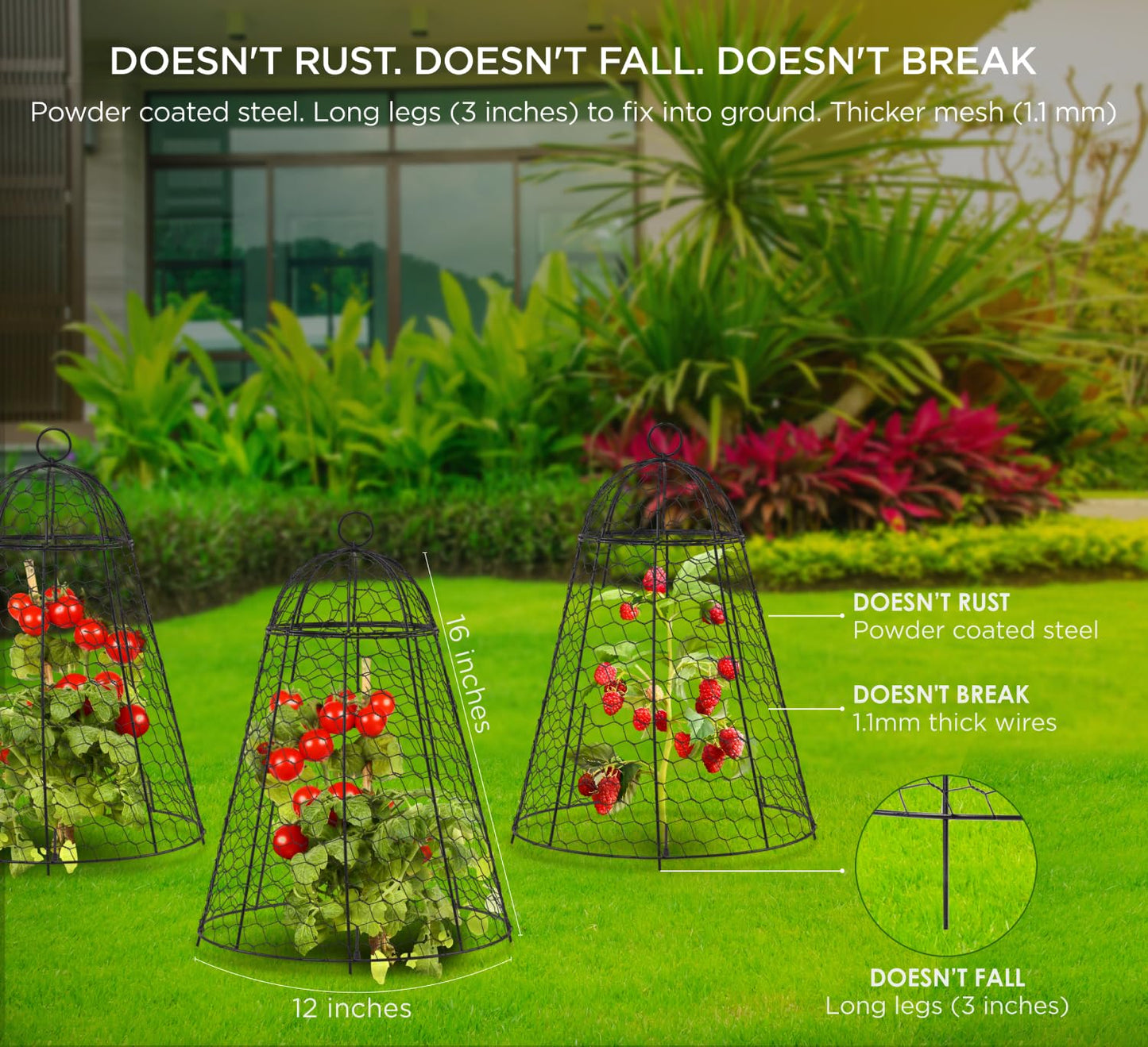 boldworks Garden Cloches for Plants Chicken Wire Cages to Protect from Animals Outdoor Extra Large Rustproof Thicker and Finer Mesh 12" x 20" Pack of 6