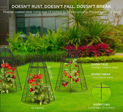 boldworks Garden Cloches for Plants Chicken Wire Cages to Protect from Animals Outdoor Extra Large Rustproof Thicker and Finer Mesh 12" x 20" Pack of 6