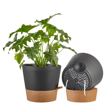 FaithLand 2 Tier Plant Stand and 2-Pack 10 Inch Self Watering Pots Bundle