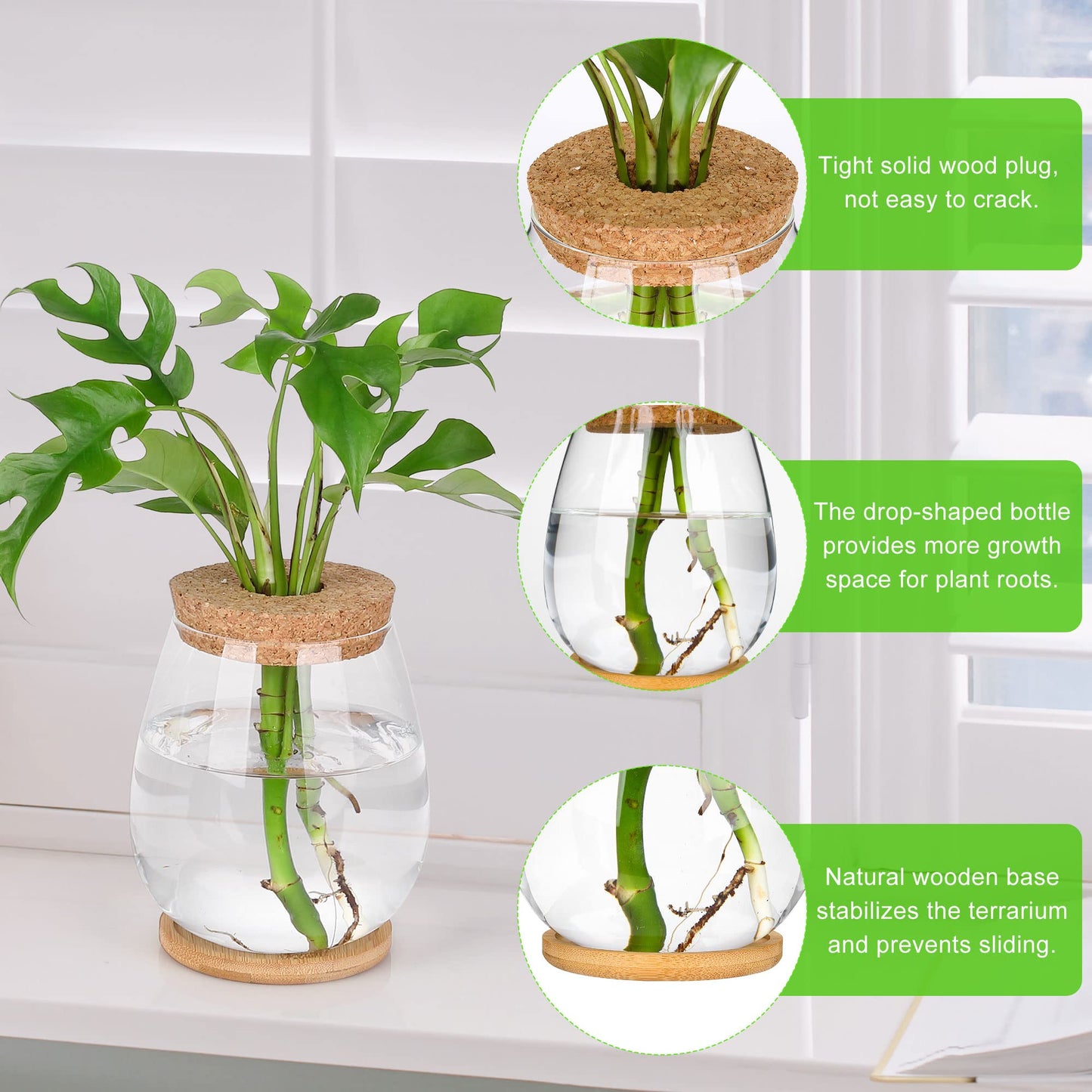 onepeng 2 Pcs Propagation Vases, Tabletop Plant Terrarium for Propagating Hydroponic, Glass Terrarium Vase Jars, Home Kitchen Decorations and Gifts for Plant Lovers