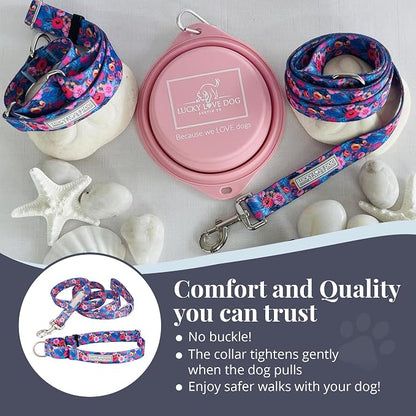 Lucky Love Dog Martingale Dog Collar & Leash - Adjustable, No-Slip, Durable, Comfortable, Soft Webbing, & Stylish Patterned Collar & Leash Set for Male and Female Dogs - Zuzu Combo, Small