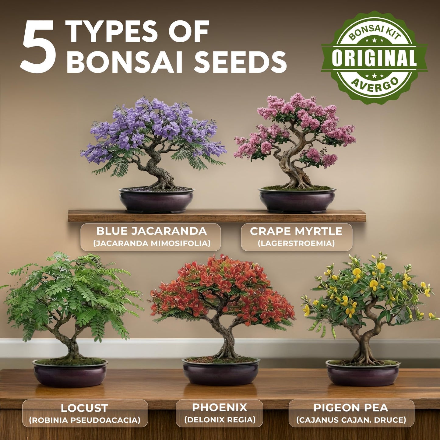 AVERGO Bonsai Tree Kit Classic - 5X Unique Japanese Bonzai Trees | Complete Indoor Bonsai Starter Kits for Growing Trees – DIY Gardening Gifts for Mother, Women & Men