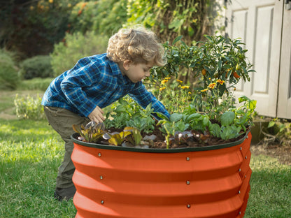 Plant & Plot Galvanized Raised Garden Beds Outdoor // 4×2×1 ft Planter Raised Beds for Gardening, Vegetables, Flowers (Orange) // Large Metal Garden Box