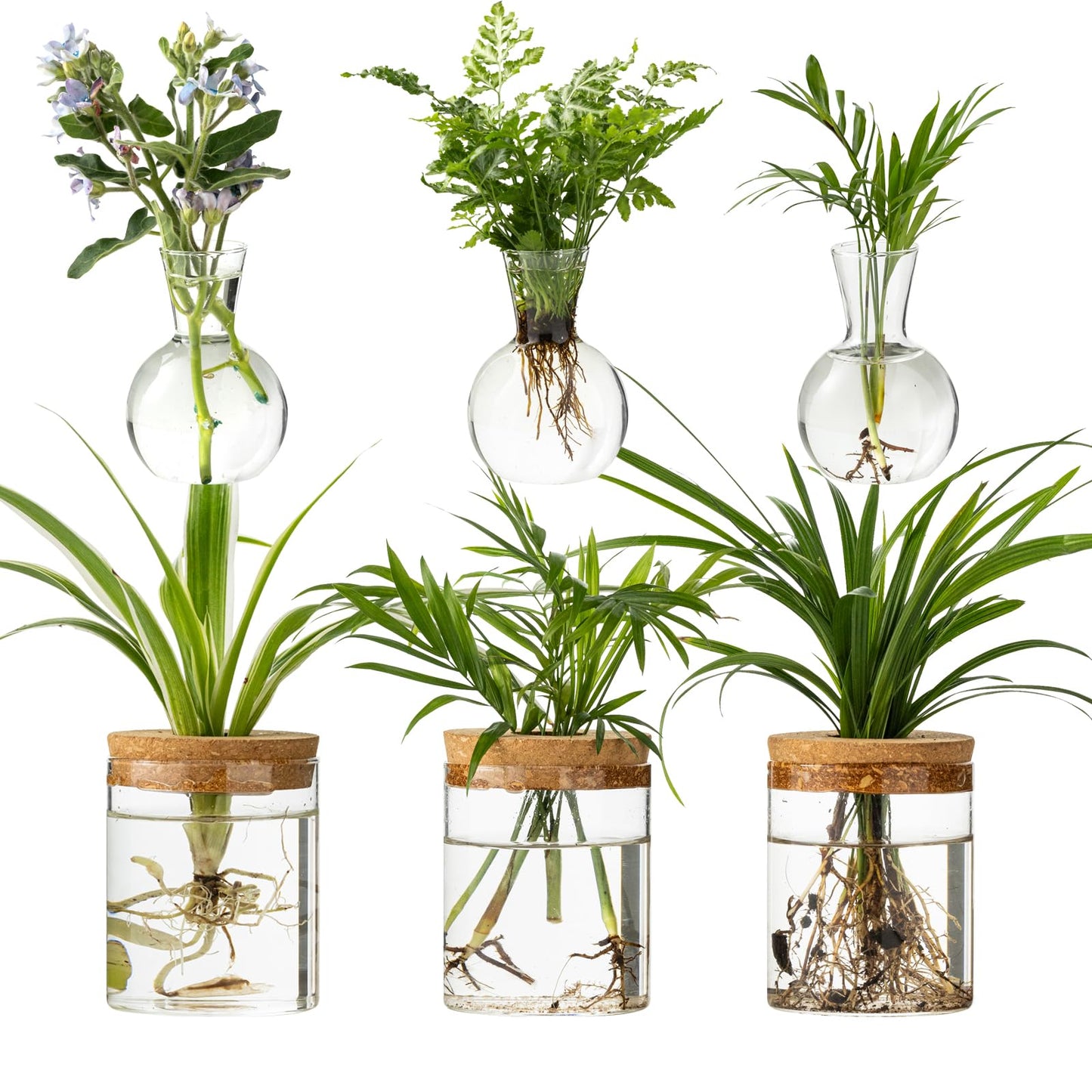 Plant Propagation Stations, 2 Style Glass Planter Terrariums, Propagation Vases for Plant, Plant Propagation Jars for Hydroponic Planter Home Office Tabletop Decoration (6)