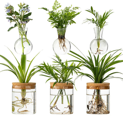 Plant Propagation Stations, 2 Style Glass Planter Terrariums, Propagation Vases for Plant, Plant Propagation Jars for Hydroponic Planter Home Office Tabletop Decoration (6)
