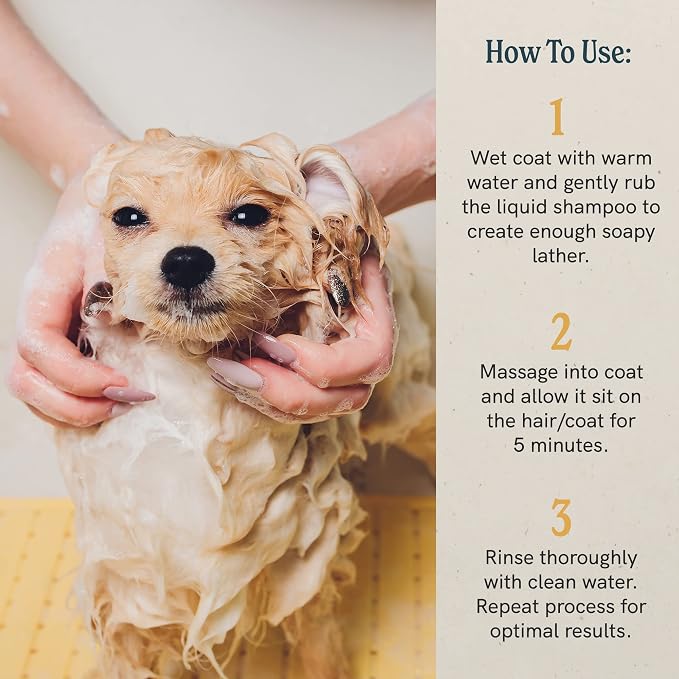J.R.LIGGETT'S Liquid Dog Shampoo for Sensitive Skin, Natural Canine Cleanser with Aloe Vera and Colloidal Oatmeal, Hypoallergenic Formula, Detergent-Free, 8.45 fl oz