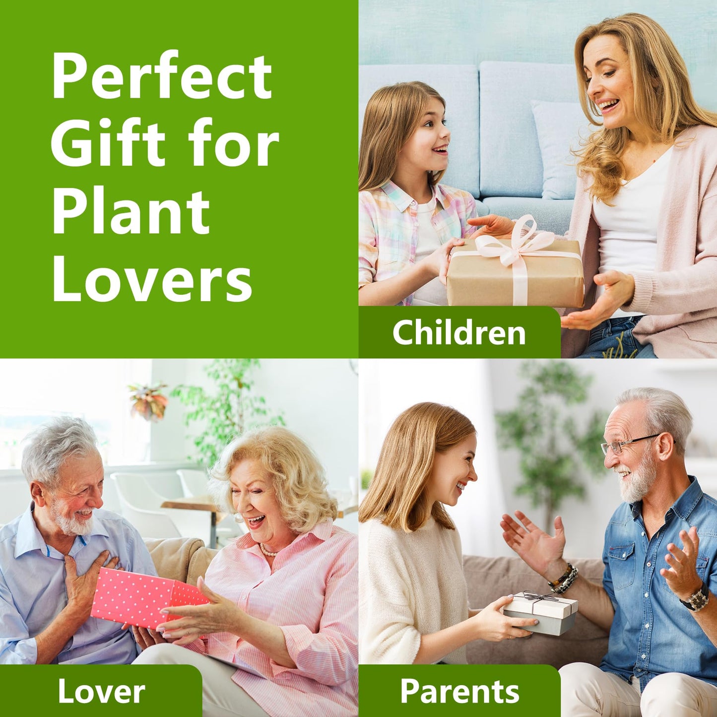 Bonsai Tree Kit, Bonsai Starter Kit with Seeds & Tools, Tree Live Plants Indoor, Gardening Gifts for Women Men Mom Father Plant Lover, Birthday Gifts for Women
