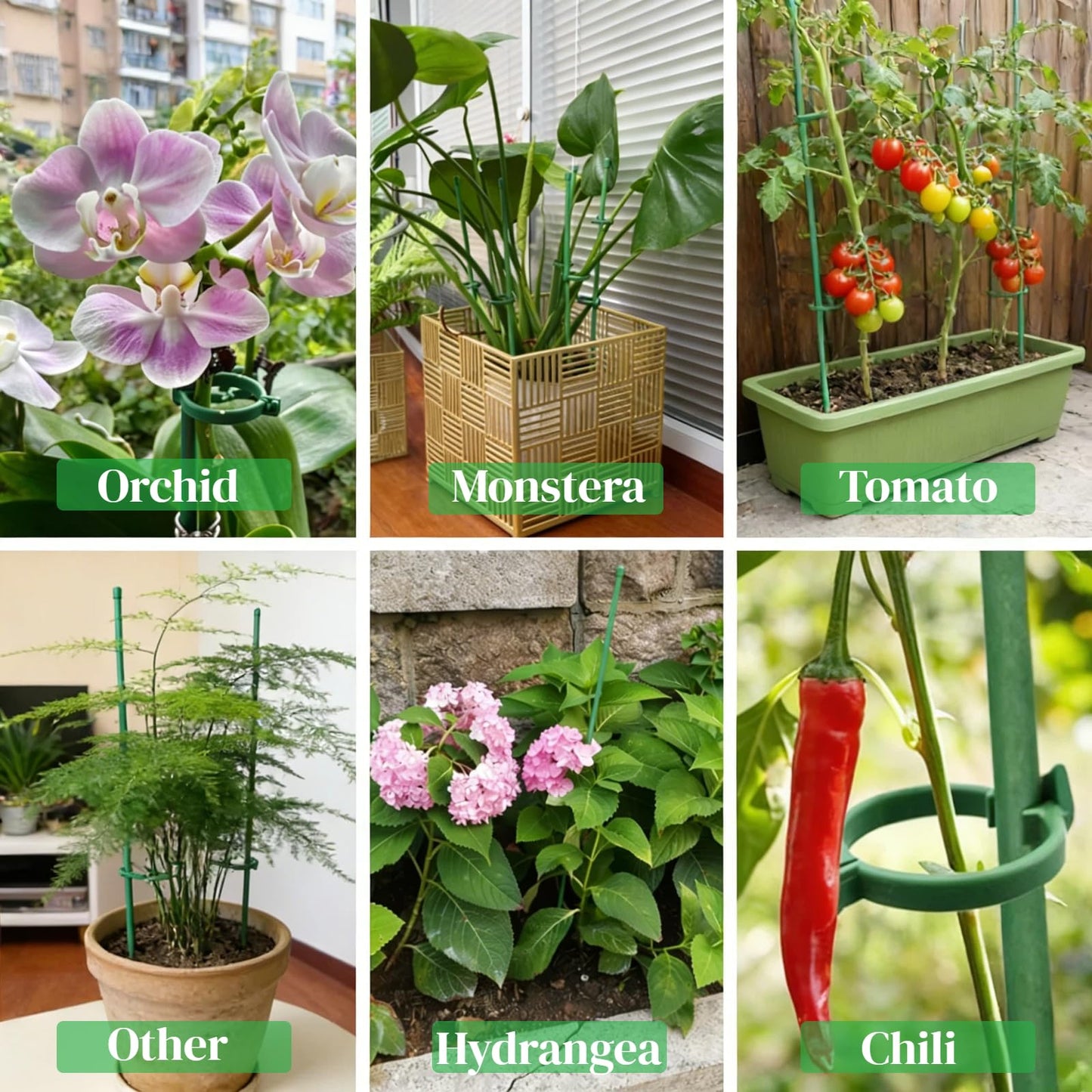 Plant Sticks Support Tall, 56Pcs Extendable Plants Stakes, Sturdy Monstera Plant Support, Natural Stakes for Indoor Plants Begonia Orchid Tomato