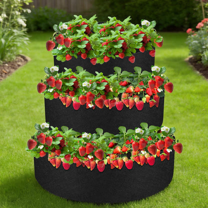 Sibosen 3 Tiered Fabric Strawberry Planter Strawberry Pyramid Planter for Outdoor Growing Vegetables Herb Plant（48 36 24 Inch ）