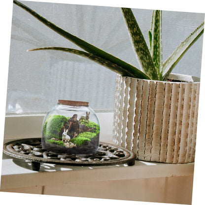 HYTROVE Micro Landscape Bottle Terrarium for Plants Creative DIY Desk Decor Simple Glass Ecological Bottle Lid for Indoor Gardening and Home Decoration