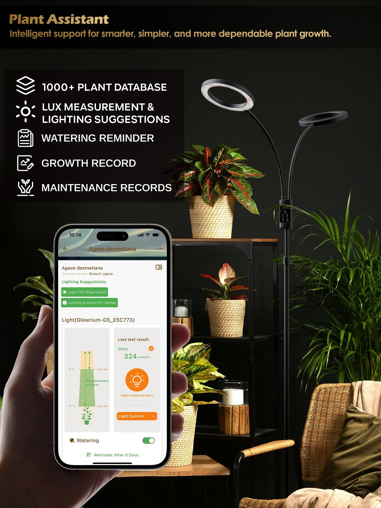Smart Grow Lights for Indoor Plants, Plant Light with Auto-Timer, Full Spectrum LED Grow Light, Adjustable Height & Stepless Dimming,Plant Assistant Suitable for Most Plants (Black, Dual Heads)