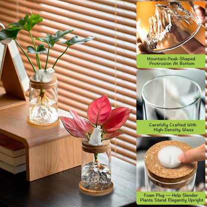 Plant Propagation Stations, 2Pcs Desktop Plants Terrarium Glass Hydroponic Vases with Bamboo Saucer, Water Plants Jars, Mountain-Shaped Bottom, Ideal Gifts for Women Mon Plant Lovers
