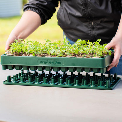 Vego garden Seedling Suite Products 10" x 20" 76 Cells Stackable Seed Starter Germination Tray with 3-in-1 Plant & Pop Board and 10" x 20" Bottom Watering Tray