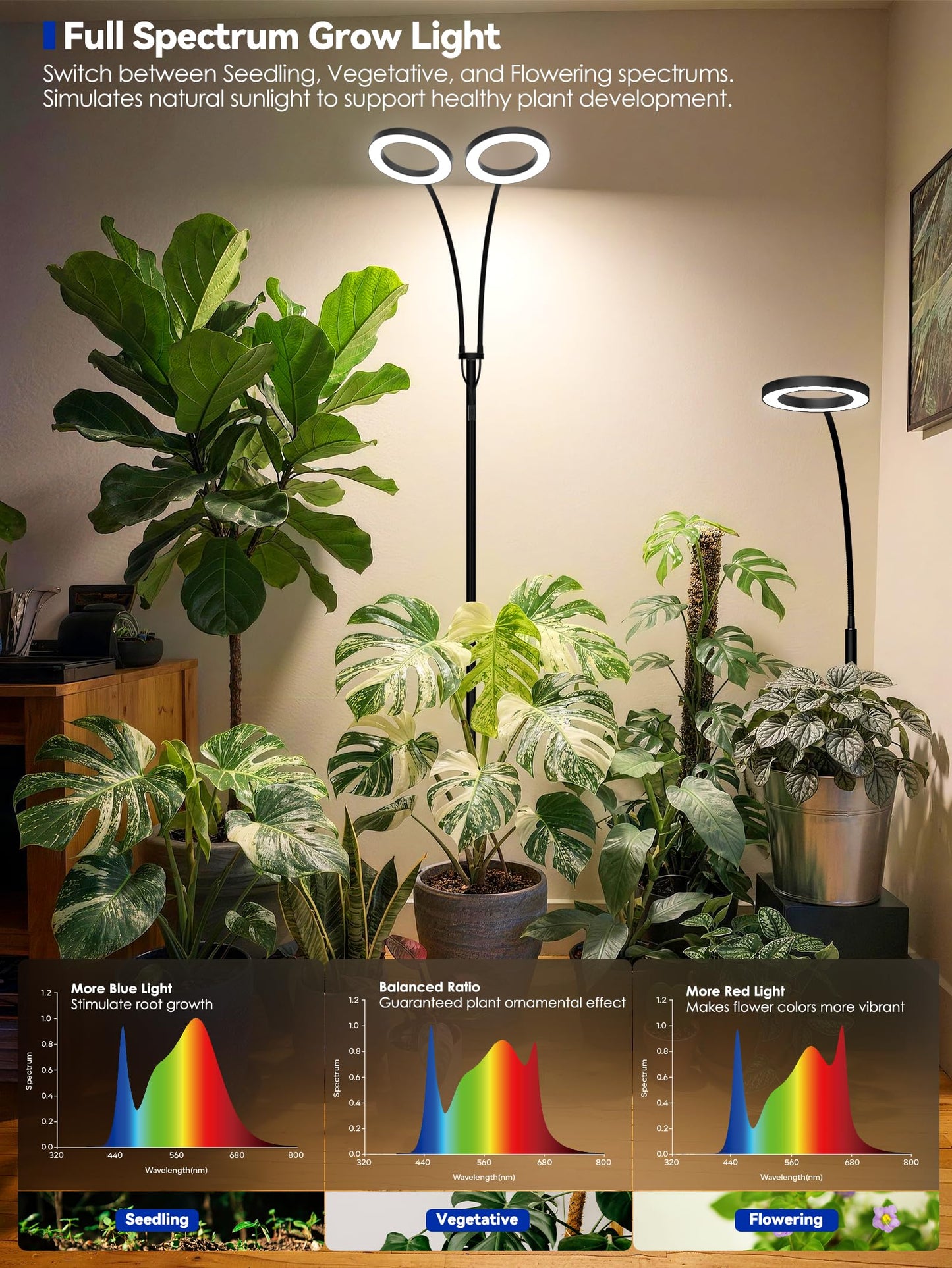 GLOWRIUM Grow Lights for Indoor Plants, Full Spectrum LED Grow Light Floor Lamp with Stand Adjustable Height and Angle, Black Plant Light with 3/9/12H Grow Light Timer (Black, 36W)