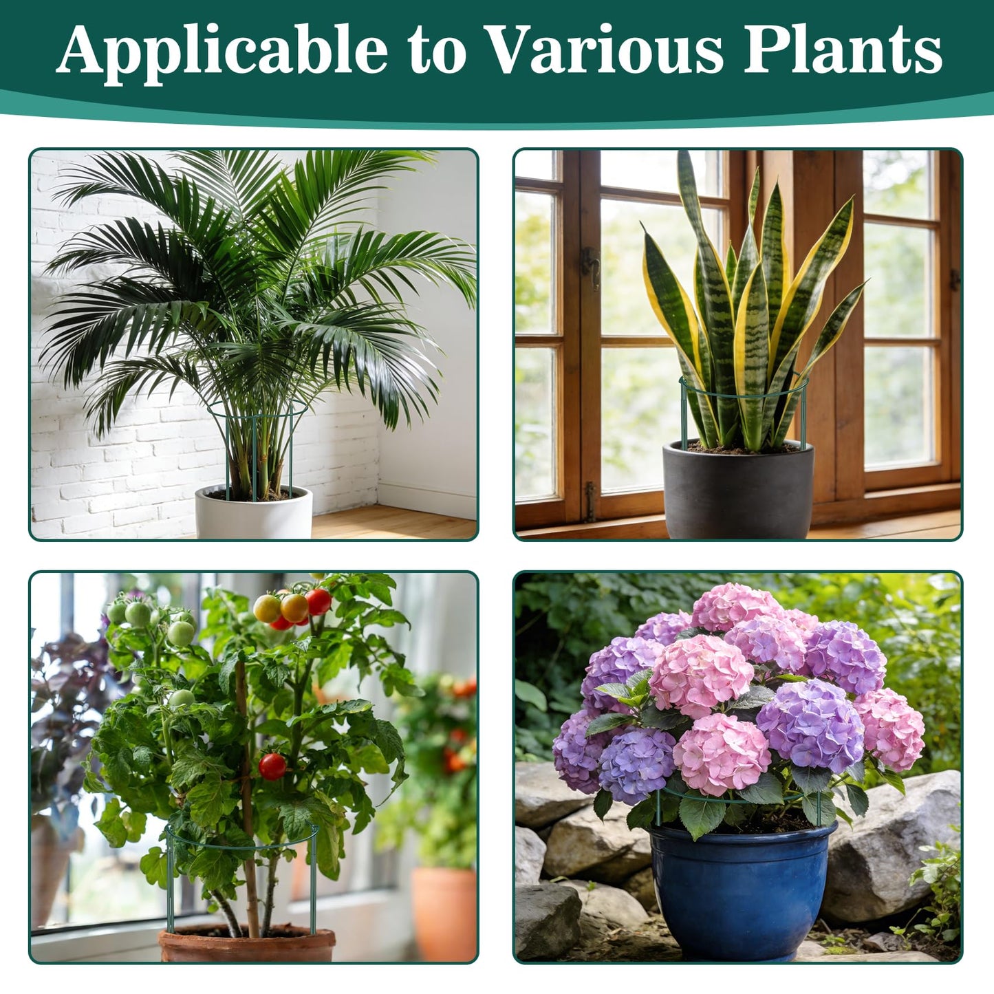 Unves 10 Pack Plant Support Stakes, 10" W x 16" H Half Round Peony Cages and Supports, Metal Peony Cage Plant Ring for Outdoor Plants Tomato Flower Vine, with Garden Labels, Clips and Ties