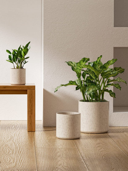 LE TAUCI Ceramic Pots for Plants, 10/8/6 Inch Indoor Planters with Draiange Hole, Silicone Plug & Mesh Pad, Modern Minimalist Pots for Home Office, Set of 3, Glossy, Linen Birch