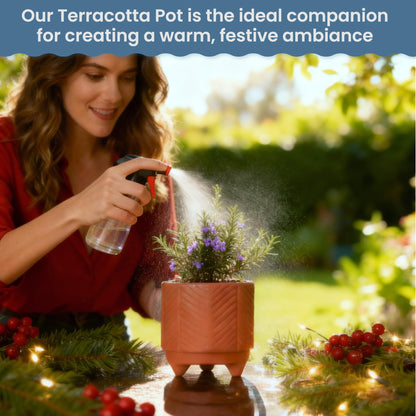FINE Living 4 Inch Terracotta Pot with Chevron Pattern, Boho Ceramic Planter Clay Pots for Indoor Plants, Succulent Planter with Drainage Hole and Mesh Net for Gifts, Garden & Home Decor