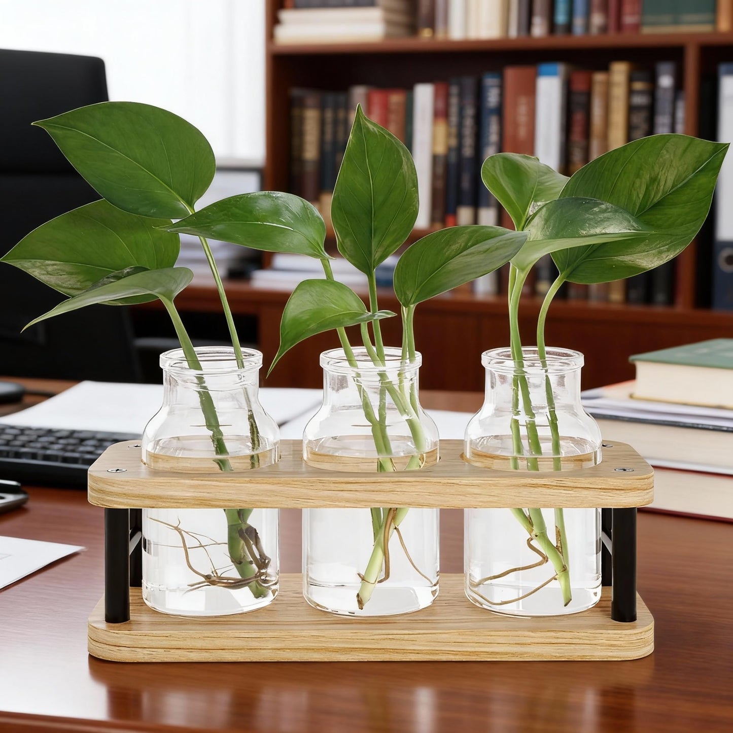 THYGIFTREE Plant Propagation Station with Wooden Stand, Propagation Vases Glass Planters for Indoor Plants Hydroponic Propagating Jars Home Office Decor, Plant Lover Gifts