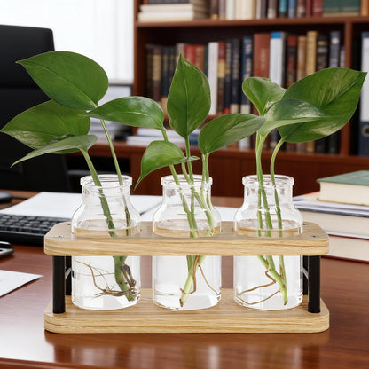 THYGIFTREE Plant Propagation Station with Wooden Stand, Propagation Vases Glass Planters for Indoor Plants Hydroponic Propagating Jars Home Office Decor, Plant Lover Gifts