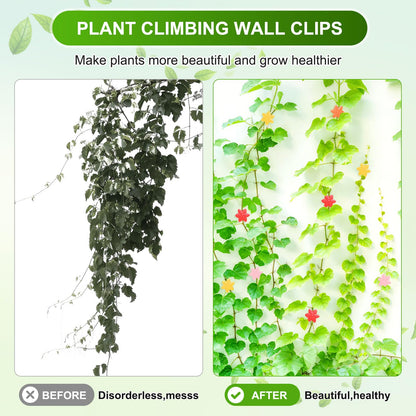 M METERXITY 100 Pack Plant Wall Clips, Self-Adhesive Plant Climbing Wall Clips Fixer with Acrylic Adhesive Sticker for Vine Support/Indoor/Outdoor Decor [Plum Blossom-Pink]