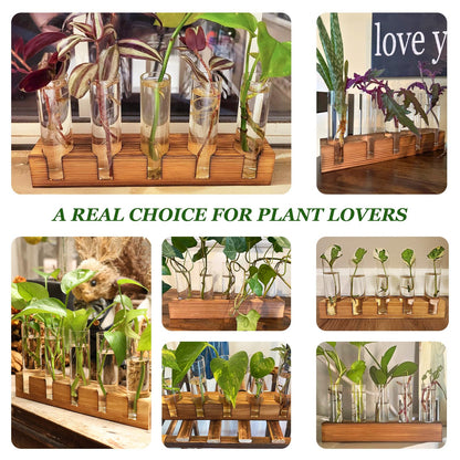 Renmxj Plant Propagation Station, Plant Terrarium with Wooden Stand, Plants Pots for Hydroponics, Small Birthday Gardening Gifts for Women Mom Plants Lovers Unique - 5 Glass Test Tubes Vases
