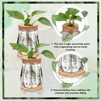 Baderke 12 Packs 4.7" Large Plastic Propagation Vases for Plants with Hole Lid and Bamboo Stand Growing in Water Hydroponic Home Office Desktop Vase Decoration