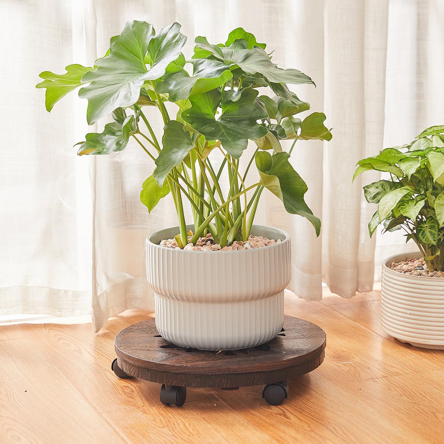 GZQWDC Wood Plant Stand Indoor,Plant Caddy with Lockable Wheels,Pot Stand,Rolling Plant Stand with Casters，Plant Dolly with Wheels ,Low Heavy Duty Plant Base with Wheels