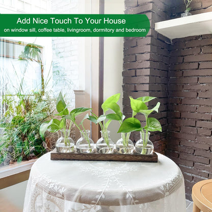 Bettstation Plant Propagation Station, Plants Terrarium with Wooden Stand 5 Bulb Houseplants Glass Vase for Hydroponic Plants Gift for Plant Lovers Home Office Decor