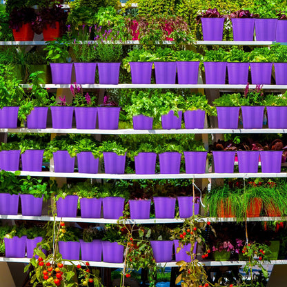 Havawish 150 Pcs 4 Inch Plastic Nursery Pots Seedling Starting Pots with Drainage Holes Thicken Flower Planters Seed Starting Indoor Outdoor for Seedling Cutting Transplanting(Purple)