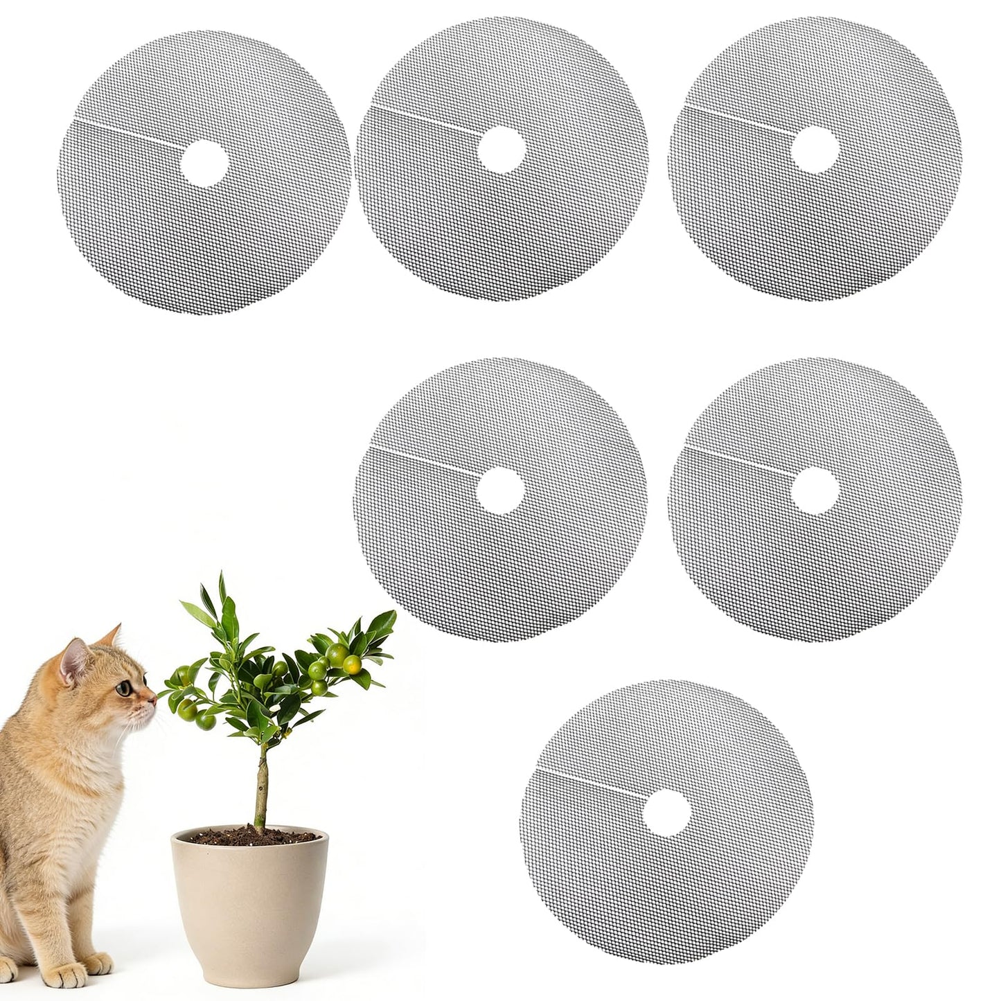 XFJYMXDM 6 Pcs 11.81 Inch Plant Pot Grids-Cuttable, Plant Pot Soil Protective Covers, Thickened Flower Protectors from Animals for Indoor Outdoor Garden Plant Protection