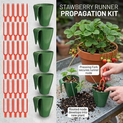 Wilafury 20Pcs Propagation Cups, Small Strawberry Propagation Cups with 50 Vine Press Forks, Plastic Planter for Rooting, Garden Greenhouse Balcony, Green