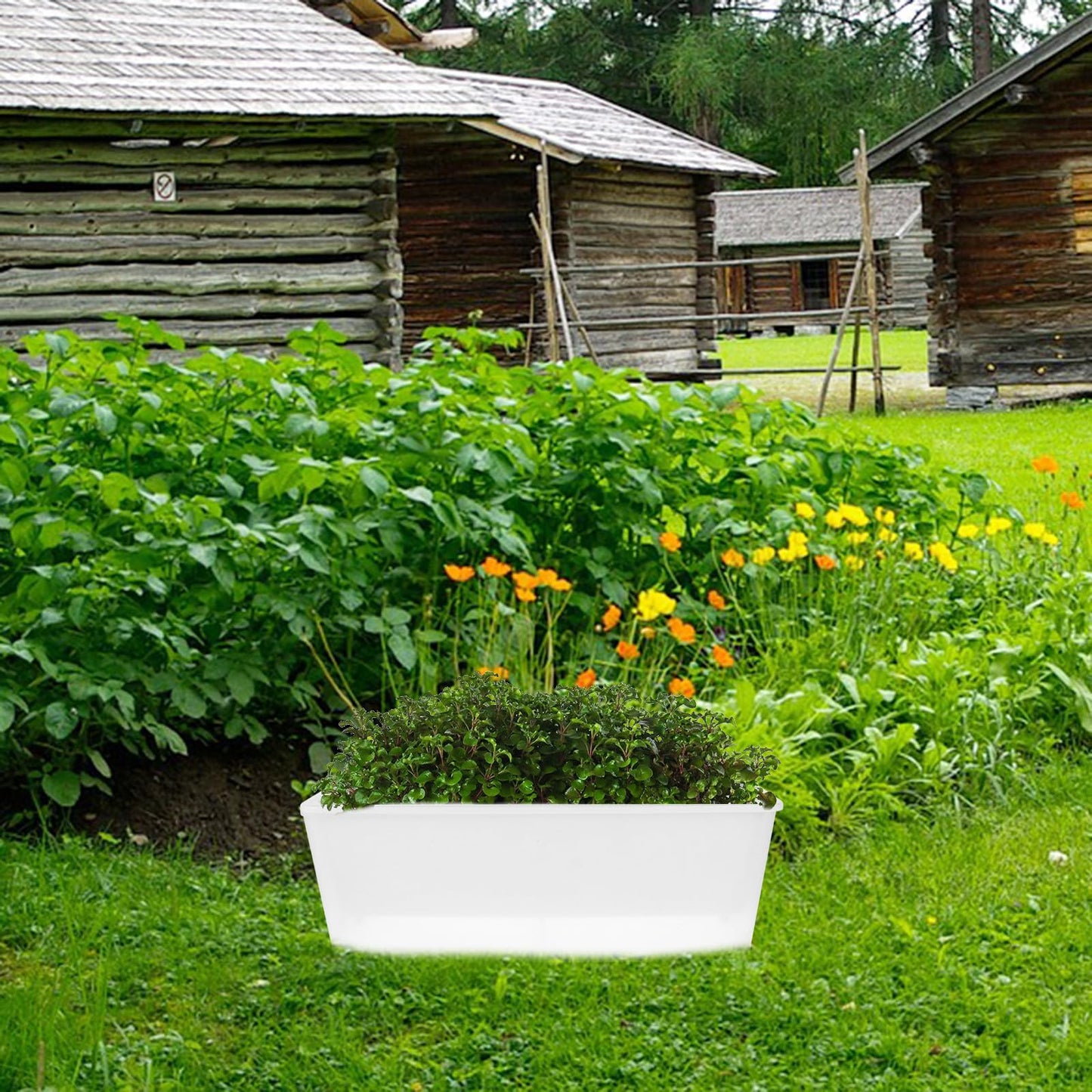 BESTonZON Rectangular Herb Planter Box with Water Reservoir for Balcony and Windowsill, Plastic Window Planter for Indoor and Outdoor Gardening, Narrow Long Trough Container,