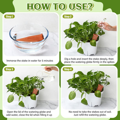 Teenyyou 3 Set Glass Self Watering Globes with Terracotta Self Watering Spike 12 oz Large Glass Waterer Bulbs Automatic Water Planter Insert Plant Water Device for Indoor Outdoor Plant(Clear,Classic)