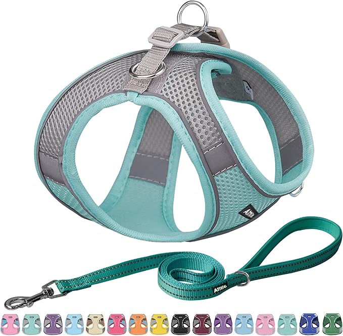 AIITLE Easy Walk Dog Harness and Leash Set - Pet Supply No Pull, Step in Adjustable Dog Harness with Padded Vest, Dog Harness No Choke Over, Easy to Put on Medium Dogs Turquoise L