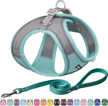 AIITLE Easy Walk Dog Harness and Leash Set - Pet Supply No Pull, Step in Adjustable Dog Harness with Padded Vest, Dog Harness No Choke Over, Easy to Put on Medium Dogs Turquoise L