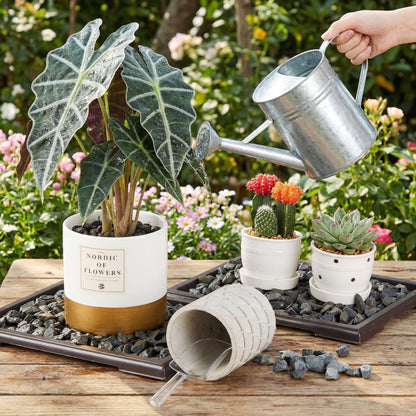 Pinkunn 2 Pcs Bonsai Humidity Tray Rectangular Drip Tray Plastic Plant Water Catcher Plant Saucers for Indoors and Outdoors Cactus,Succulents,Bonsai Tree,Stone Not Included (11 x 8 Inch)