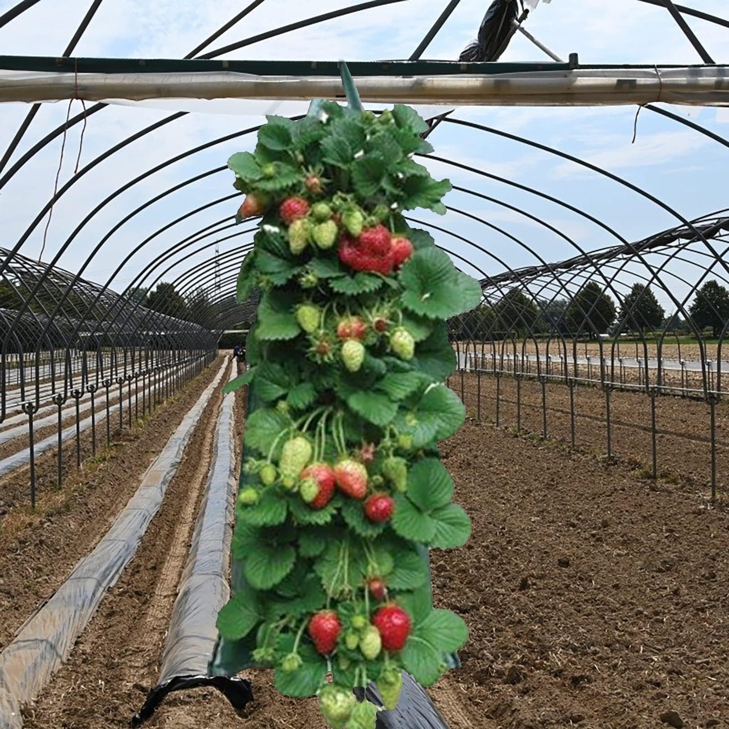 2024 Hanging Strawberry Planter - Upside-Down Patio Garden Tomato Grow Bags With Handle for Outdoor (3)