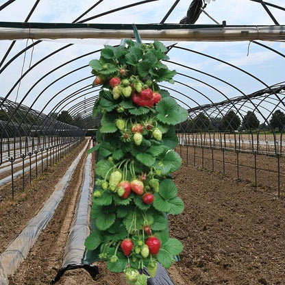 2024 Hanging Strawberry Planter - Upside-Down Patio Garden Tomato Grow Bags With Handle for Outdoor (3)